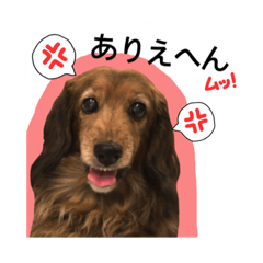 Lineスタンプ 関西弁で喋るダックス犬 8種類 1円